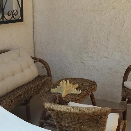 Casa Tortuca