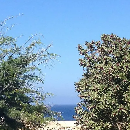 Casa Tortuca Guest house *
